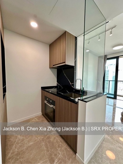 Irwell Hill Residences (D9), Apartment #528885241